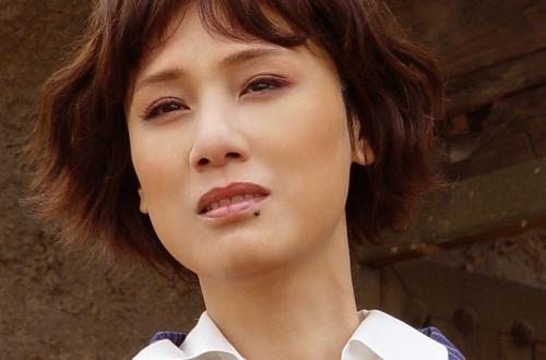 李建群|陈道明好友李建群去世！一生无子女，活成了苦情的“容妃”