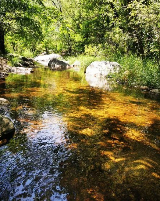 北京|北京最美的几条自驾路线，趁着周末走一走！
