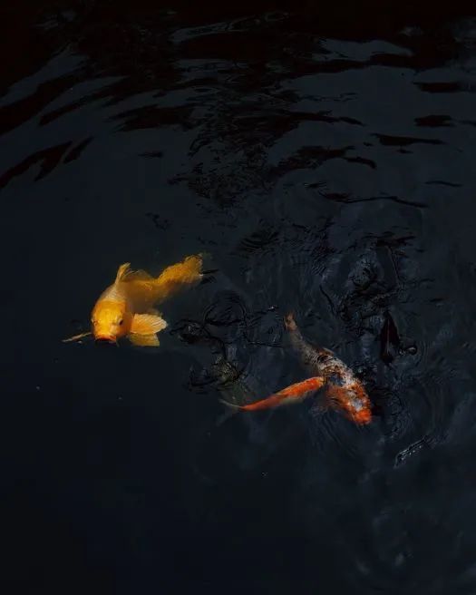 北京|北京最美的几条自驾路线，趁着周末走一走！