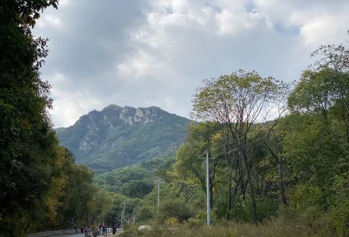 北京|北京最美的几条自驾路线，趁着周末走一走！