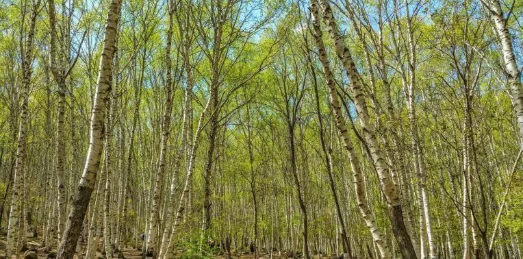 北京|北京最美的几条自驾路线，趁着周末走一走！