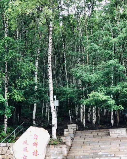 北京|北京最美的几条自驾路线，趁着周末走一走！