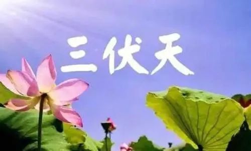 白癜风|【入伏篇】入伏之后，白癜风患者这些事一定要注意！