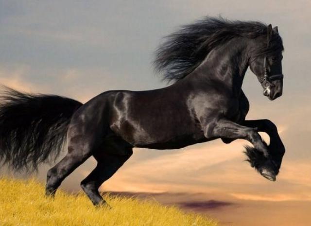 孔子|“横财不富命穷人，银子自己会跑路”，想赚钱，先提升对钱的认知