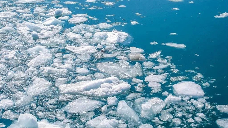 西伯利亚|西伯利亚遭“80000年一遇”高温，警钟敲响，人类该怎么办？