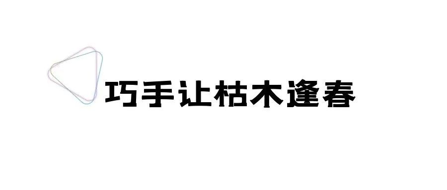 汪志杰|一年一岁磨手艺，一雕一琢出华章