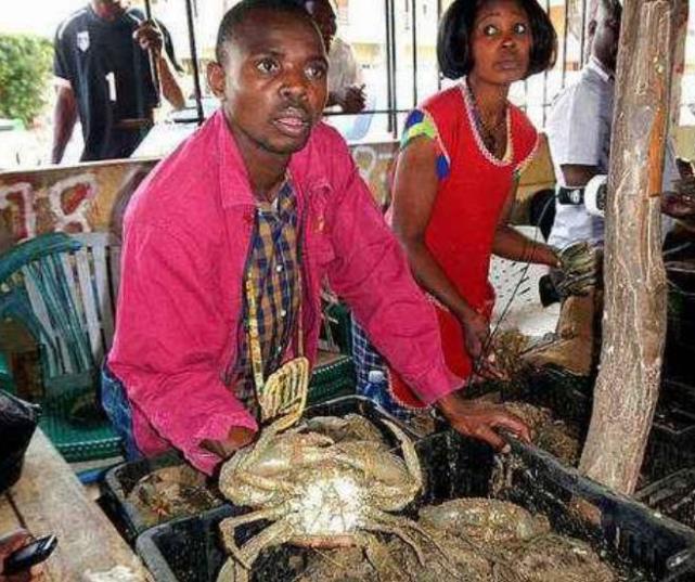 非洲人经常吃不饱饭?看看当地的菜市场,网友:羡慕了