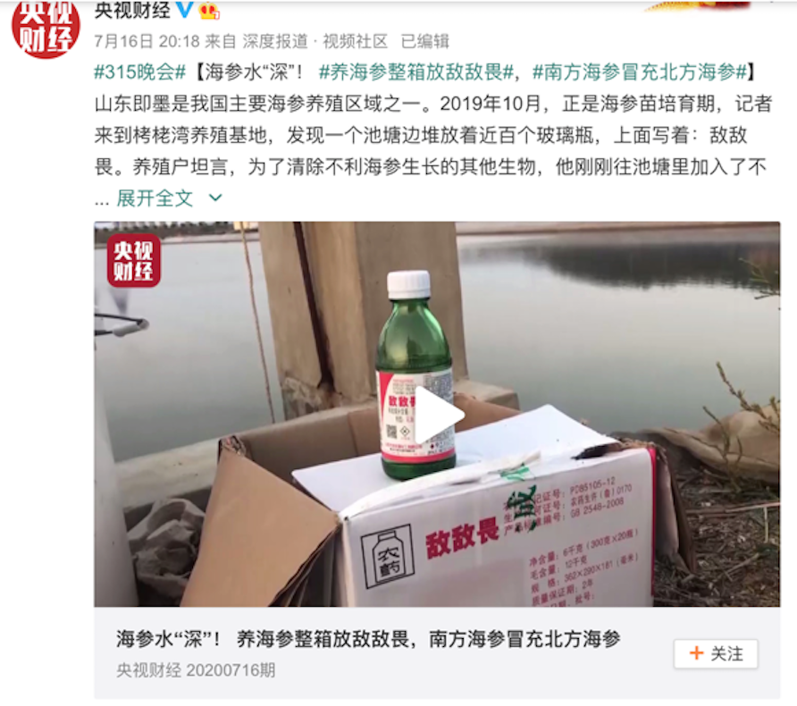 专家详解海参养殖放敌敌畏中国人喜欢吃鲜活水产给了可乘之机