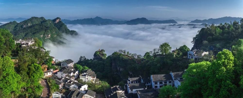 碧云大师|后疫情时代的派对动物们，还能去哪些世外桃源撒欢？