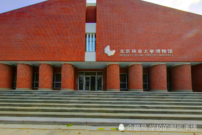 北京林业大学|北京“最尴尬”的211大学，博士点抽评不合格，被撤销学位授予权