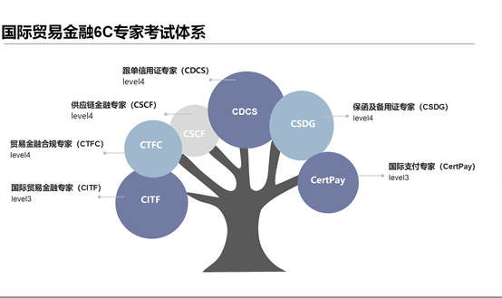 国际贸易金融领域最有影响力的证书考试,快来了解一下?