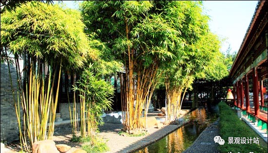 竹子在园林中也是一道独特的风景,设计手法你知多少?