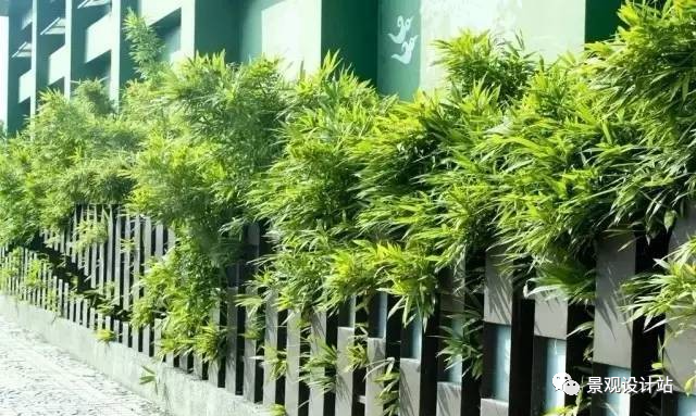 07 绿篱式 竹篱是利用竹子建成空间的外围屏障, 起到分隔空间,协调