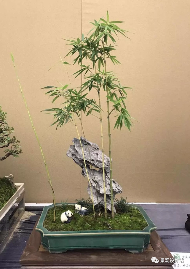 竹子在园林中也是一道独特的风景,设计手法你知多少?