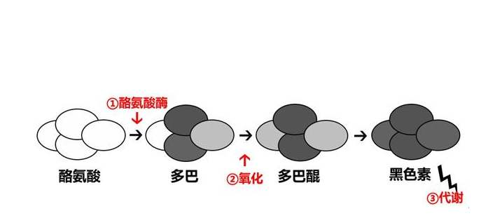 紫外线|黑色吸热，非洲那么热为何会进化出黑皮肤？科学家：命更重要