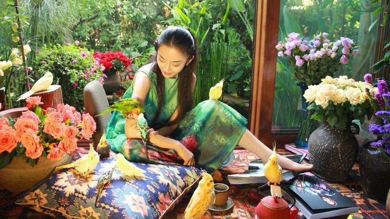 杨丽萍|为了保持身材，她不吃米饭，不生孩子，也导致了两段婚姻的失败