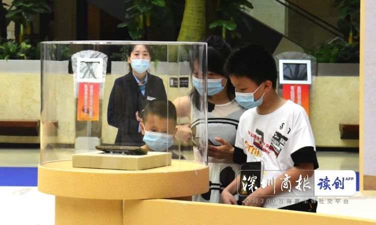 脊椎动物|知道吗？我们和鱼是“亲戚”