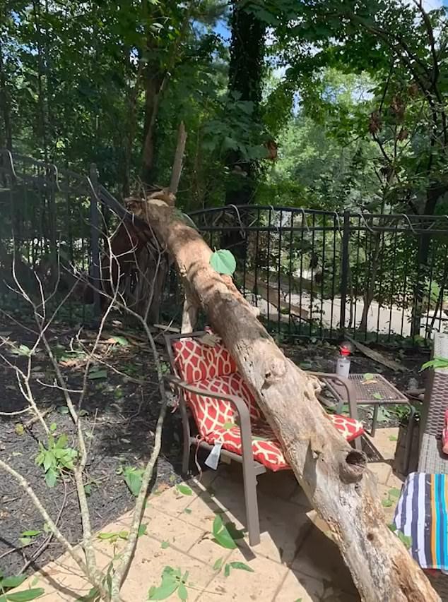美国_社会|命大美国女子自家泳池边晒太阳，起身时大树砸在刚坐过的椅子上