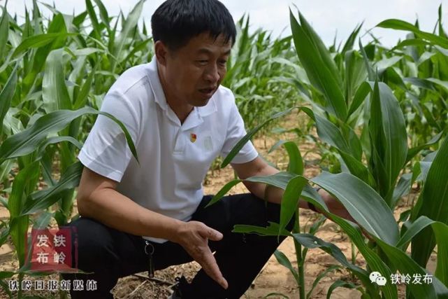 大苇子村就这么富了