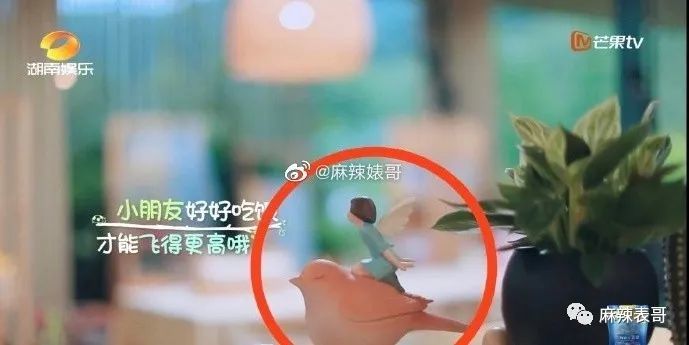 郑爽|郑爽又 叒卖二手货翻车了！这么好圈粉的事她怎么都能做砸？