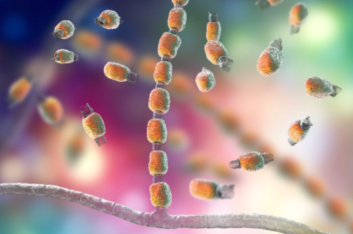 山谷热|美国山谷热频发已致中国公民3病2死，中驻美使馆发紧急提醒！