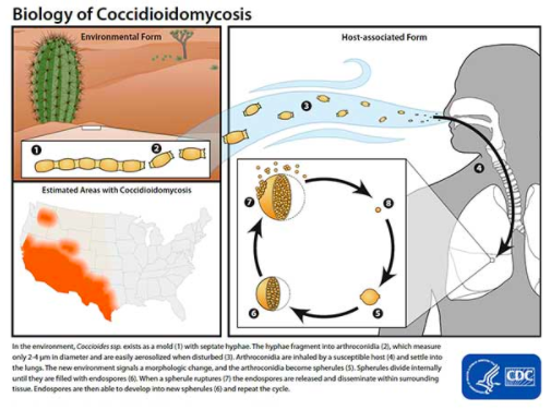 山谷热|美国山谷热频发已致中国公民3病2死，中驻美使馆发紧急提醒！
