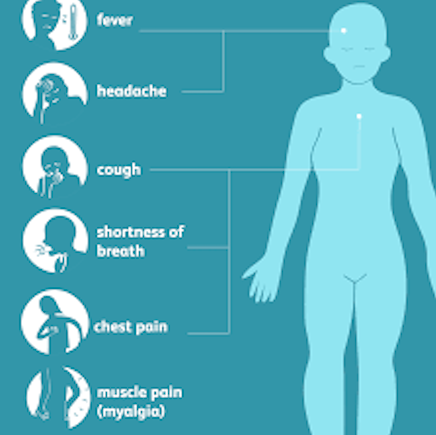 山谷热|美国山谷热频发已致中国公民3病2死，中驻美使馆发紧急提醒！