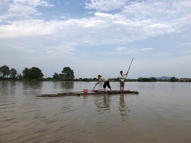 鄱阳县灾民划木筏出行稻田淹水4米损失250万超市老板捐806袋米