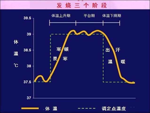 这个过程一般分为体温上升期,平台期和体温下降期,以及可能存在的间歇