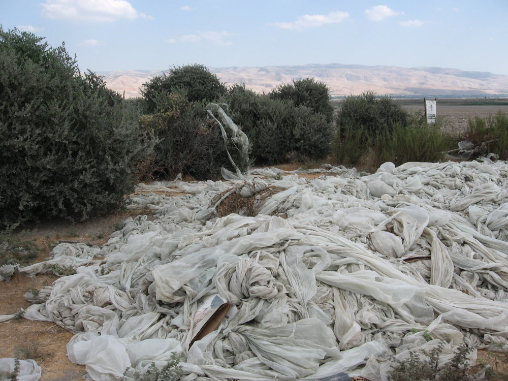 基比利|世界上最热的五个地方，最高温55℃，连最耐热的重庆人都很难适应