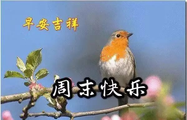 7月最新微信早晨问候动态表情鲜花图片 最漂亮早上好动态祝福表情包