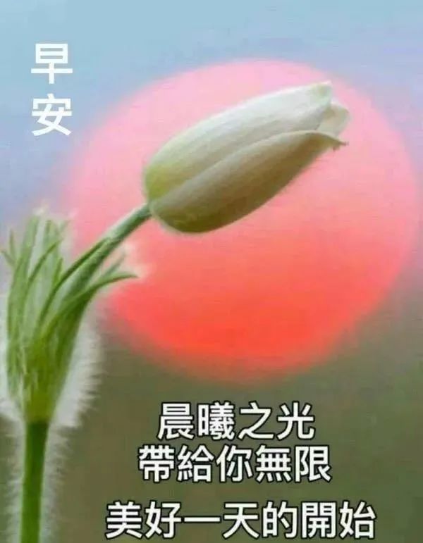 7月18日早上好最棒问候表情祝福语录 清晨最美祝福美图