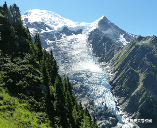 印度|全球变暖法国冰川融化，发现半个世纪前的印度报纸