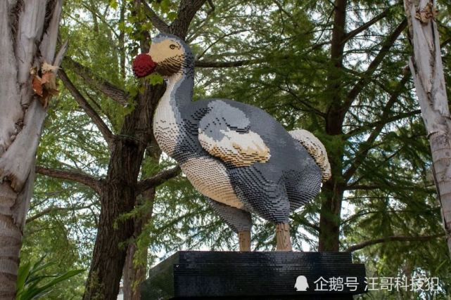 德州動物園派替身上場萬片樂高復活渡渡鳥超人氣動物園