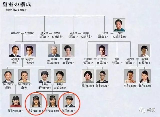 何超莲|结婚得5亿，生娃再5亿！这赌王豪门女婿的位置总算坐稳了