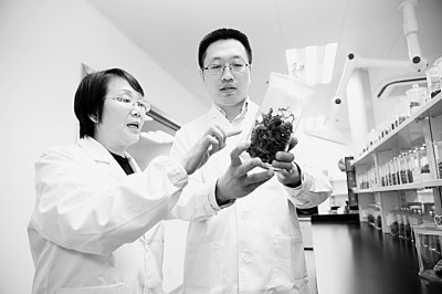 专利法|专利法修法助推我国专利由多到强