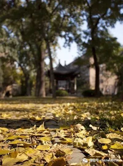 中国人民大学|中国人民大学：A类学科专业在京均投放 新增三个实验班项目