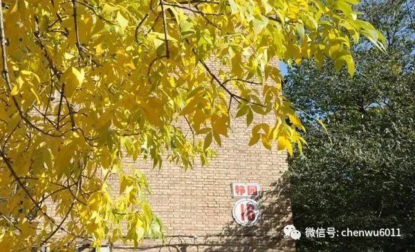 中国人民大学|中国人民大学：A类学科专业在京均投放 新增三个实验班项目