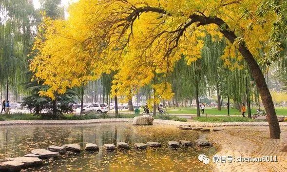 中国人民大学|中国人民大学：A类学科专业在京均投放 新增三个实验班项目