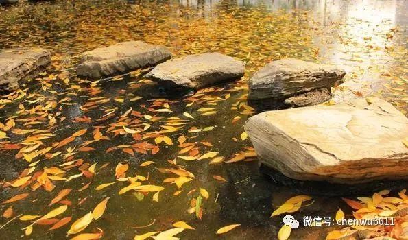 中国人民大学|中国人民大学：A类学科专业在京均投放 新增三个实验班项目