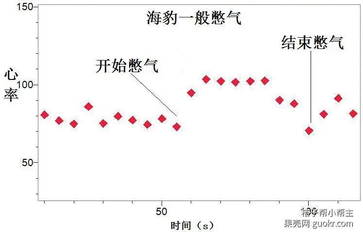 怀孕|怀孕需要改变什么番外篇—小娃的梦