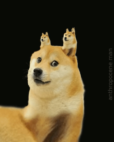 我脑子里的代码vs我写出来的代码|程序员|递归函数|代码|stack