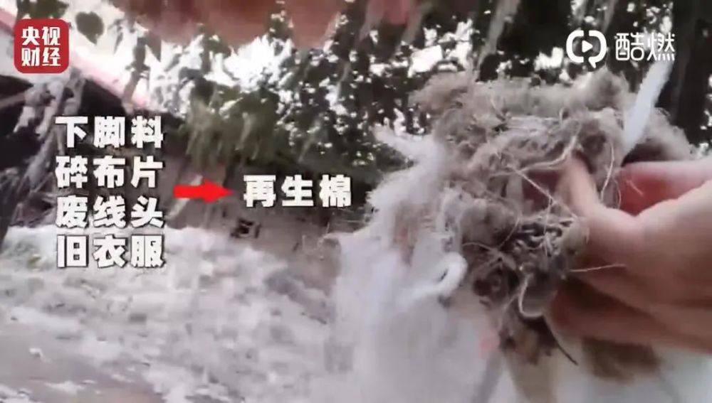 毛巾|3·15晚会曝光“黑心”毛巾！中纺协会专家教你“肉眼”判断毛巾优劣