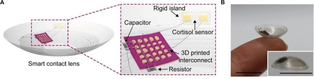 衰老|脑科学日报：揭开衰老之谜背后的关键机制；可检测压力的隐形眼镜