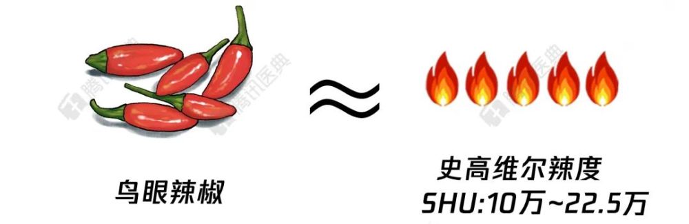 民用催泪瓦斯的辣度大约为200万,当然这还不是最辣的……有些辣椒的辣