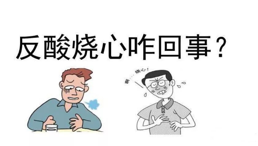 胃食道逆流|食物老是在体内“翻滚”？张璐教你如何远离胃食道逆流三大祸首！