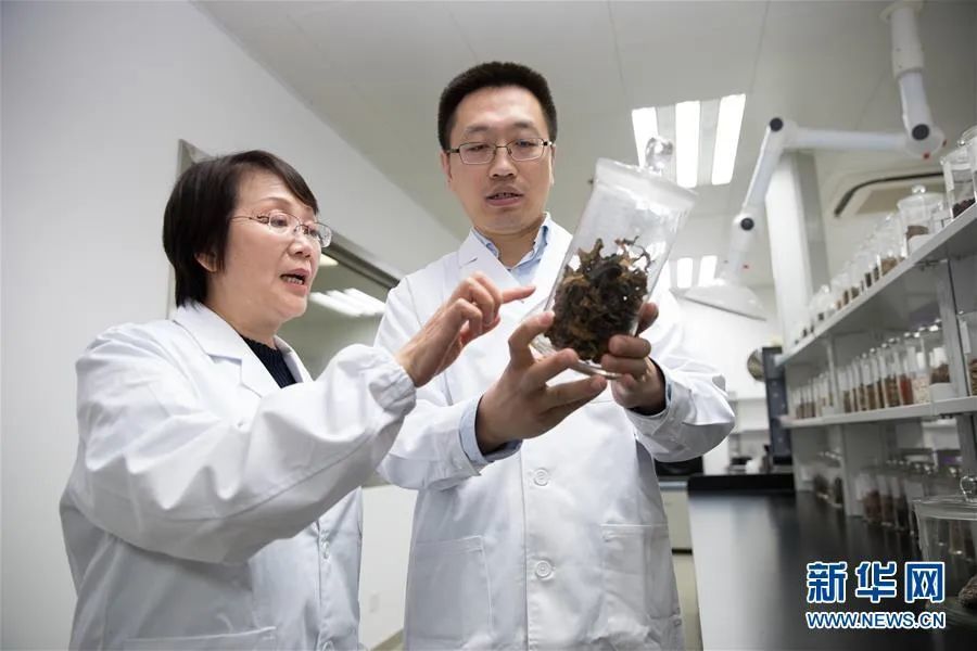 汉语|专利法修法助推我国专利由多到强