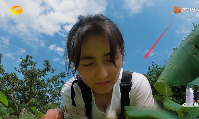 张子枫领口太低弯腰挖藕一瞬被截图看清后男粉太小了