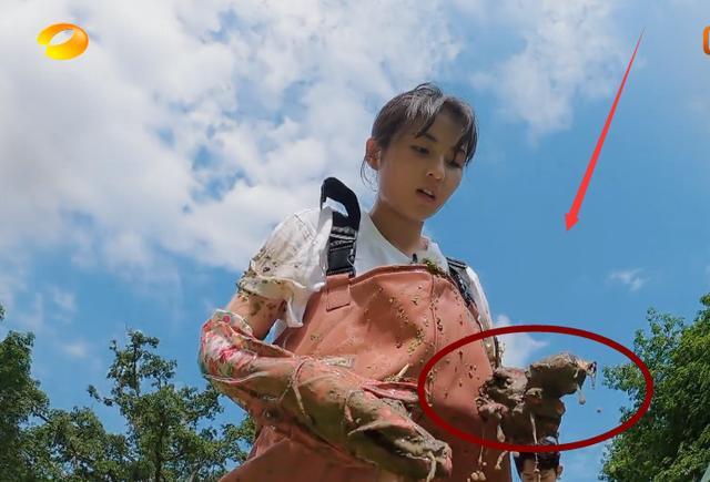 张子枫领口太低弯腰挖藕一瞬被截图看清后男粉太小了