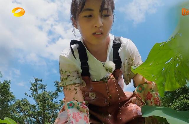 张子枫领口太低弯腰挖藕一瞬被截图看清后男粉太小了